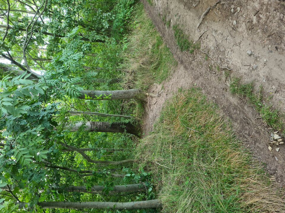 20230812_191014.jpg - agnesandru