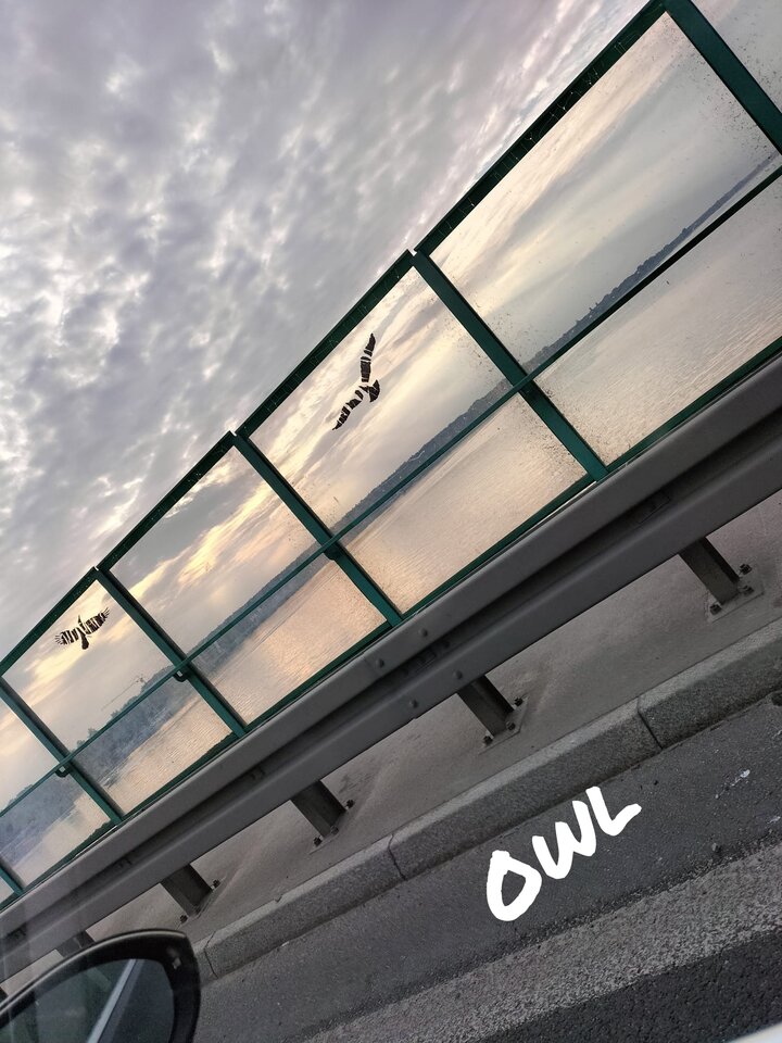 🏖️.jpg - OwlsSoul