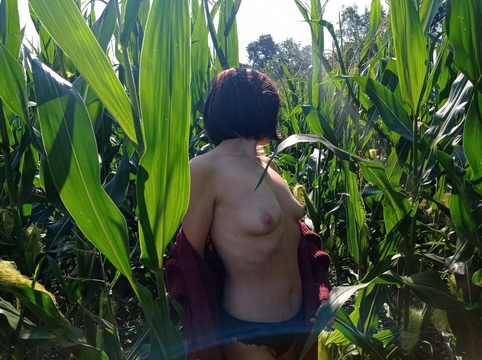 IMG_20230806_091130.jpg - tisienki