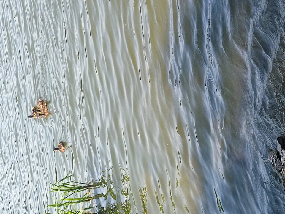 IMG_20230814_110931.jpg - ChetnyLublin