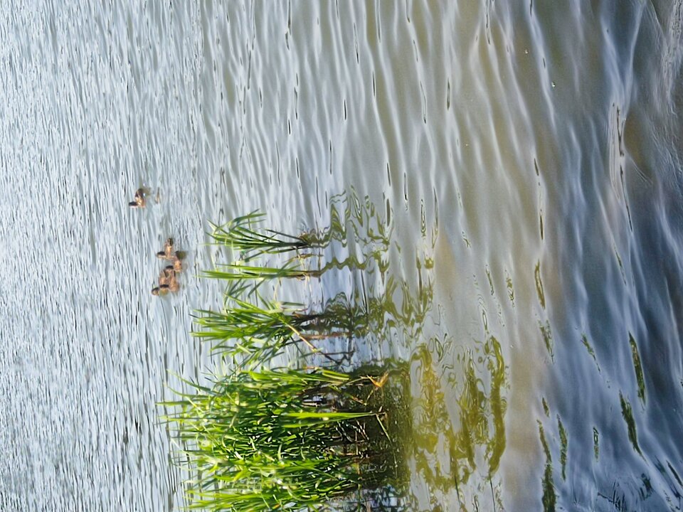 IMG_20230814_110936.jpg - ChetnyLublin