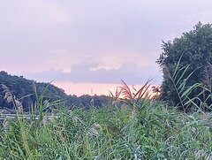IMG20230814194045.jpg
