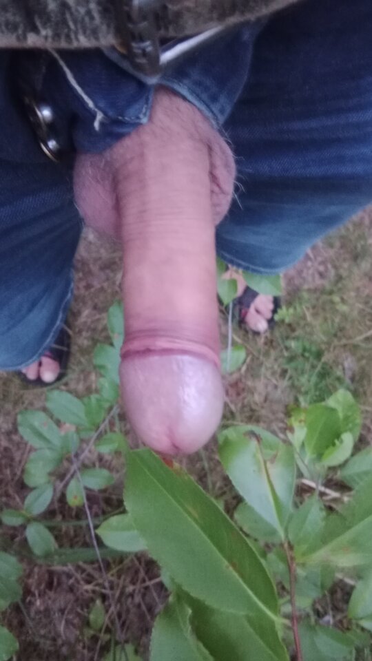 16920377552416901618555535613930.jpg - eroteooo