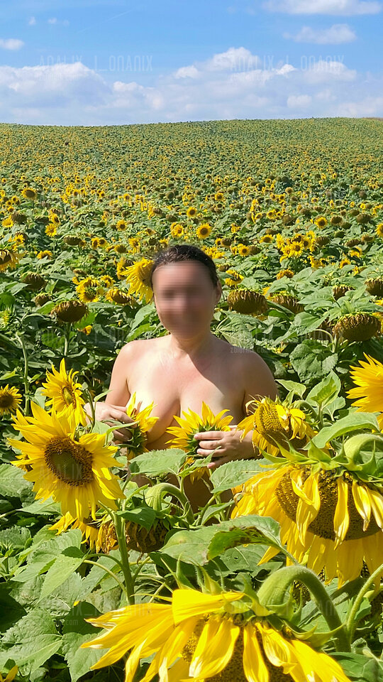 20230813_123903.jpg - Analix_i_Onanix