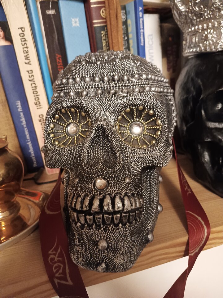 Czaszkun 1 - agamich