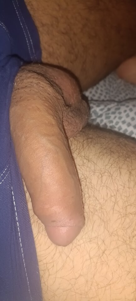 16920589076586578990289304187821.jpg - DominBi