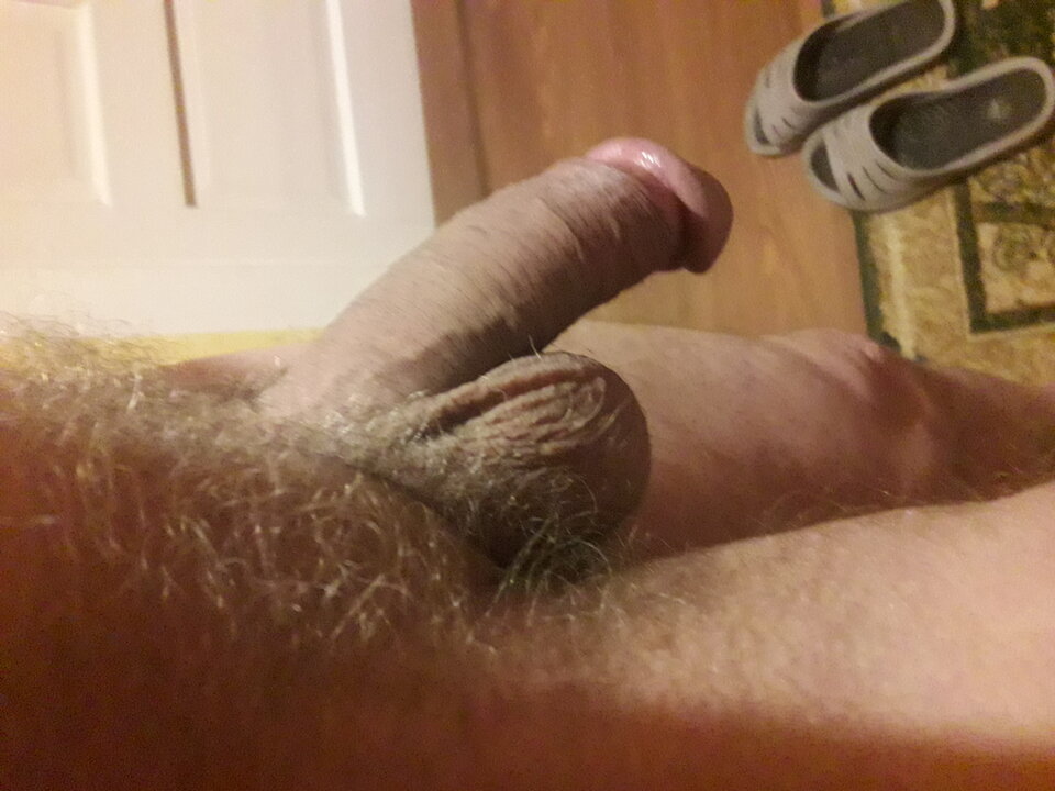 20230815_045734.jpg - brus13