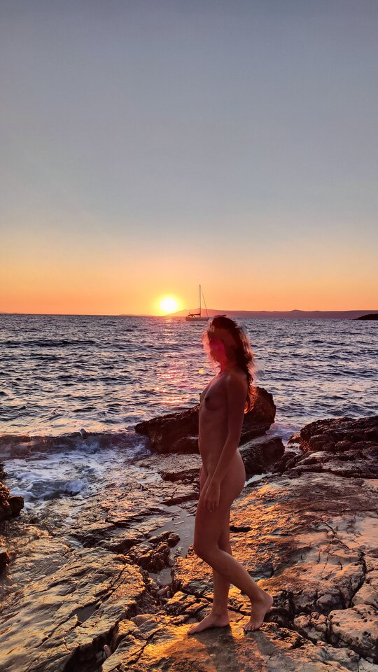 Rozważna i romantyczna - Zwierzeta_nocy