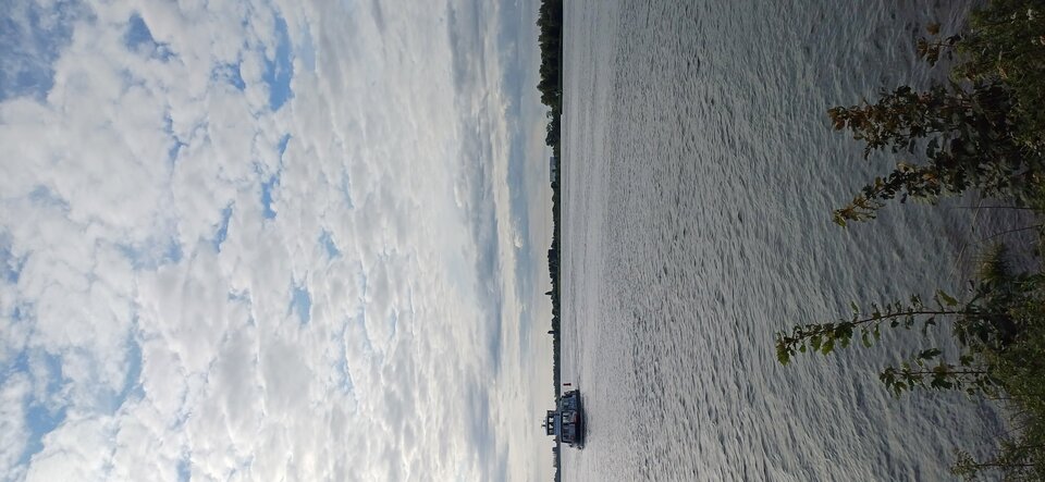 20230808_084108.jpg - DAWID683