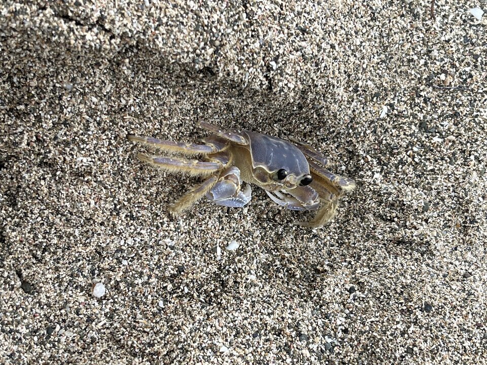 IMG_9933.jpeg - Are_there_impossible_things