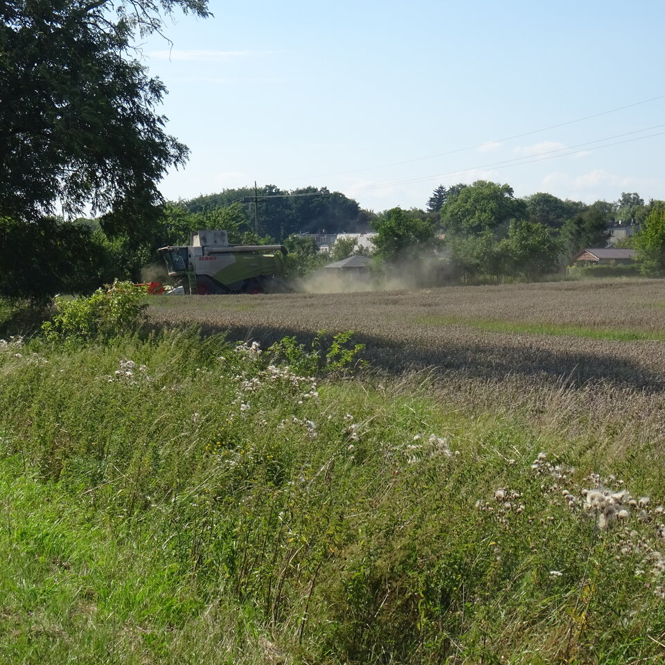 DSC01654.JPG - bojman8