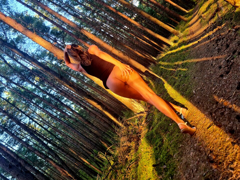 20230815_190330.jpg - Parkaszukakonarka