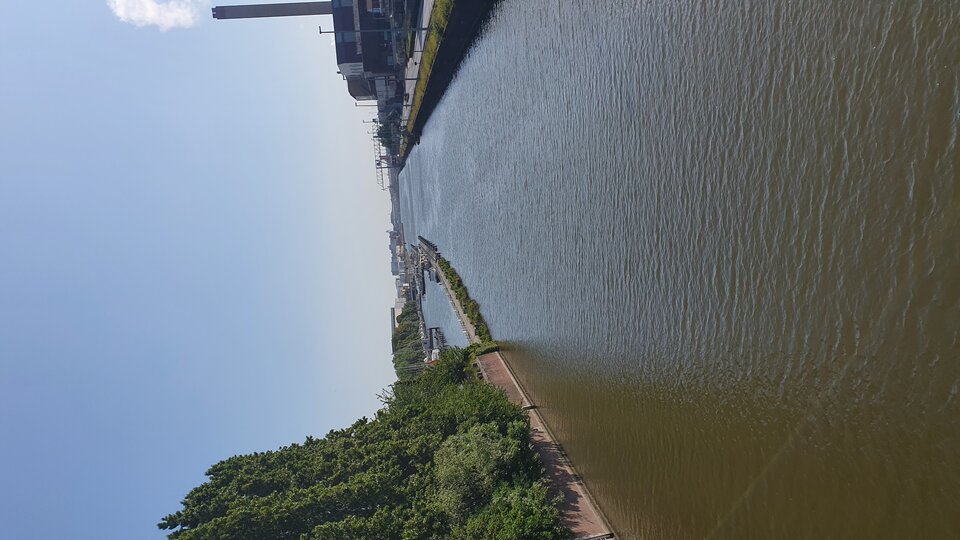 20230603_092444.jpg - Templ