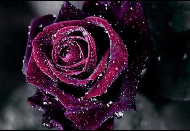 IMG_20230801_222336.jpg - Newashi69