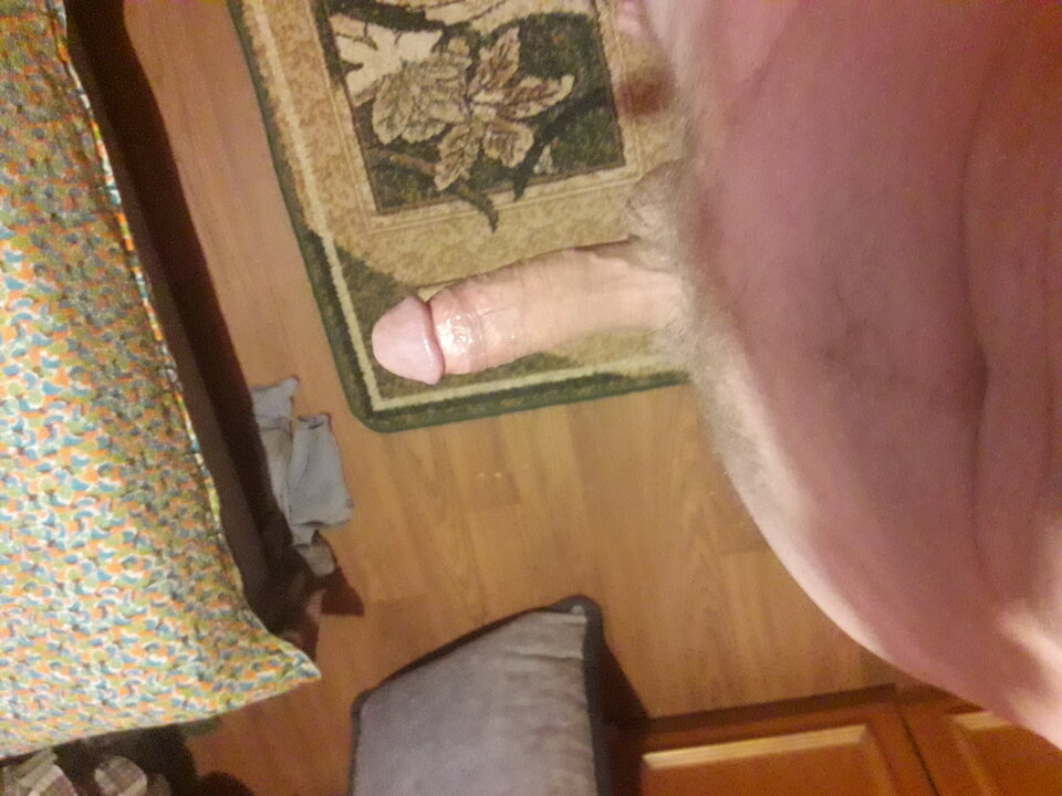 20230816_051818.jpg - brus13