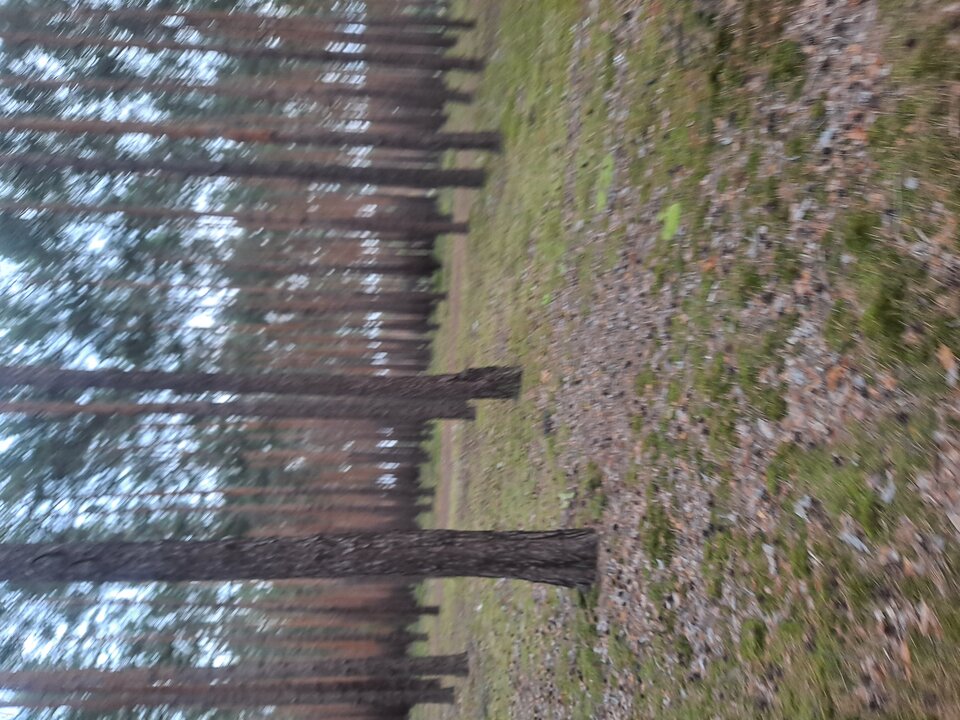 1000009475.jpg - Napalony8637