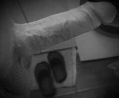 IMG_20230816_154536.jpg