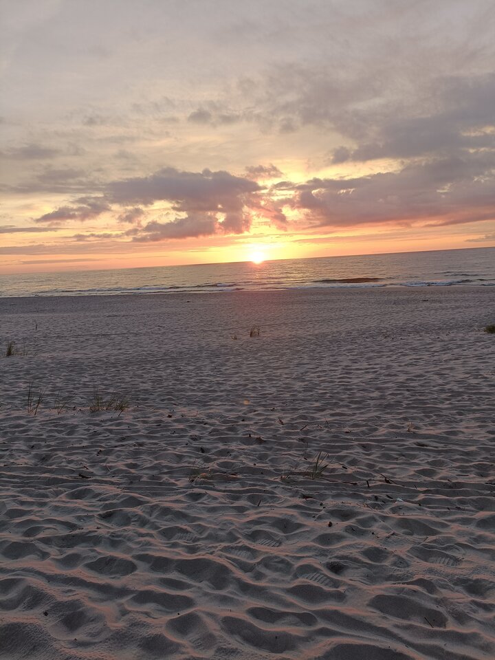 IMG20230804203216.jpg - ameska