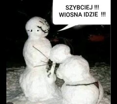 IMG_2116.jpeg