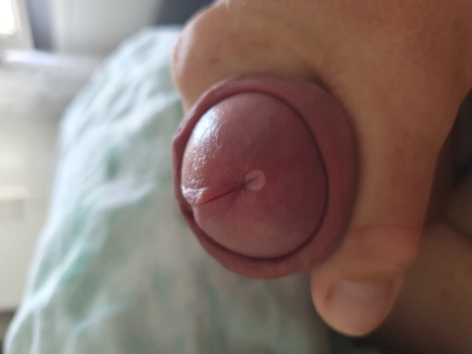 16922536128841672164463118881441.jpg - wast79