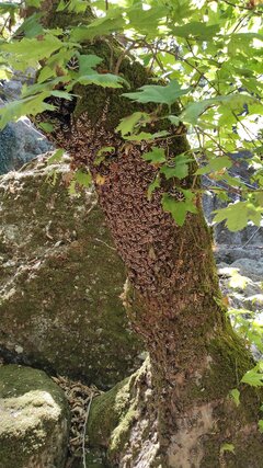 IMG_20210708_104143.jpg