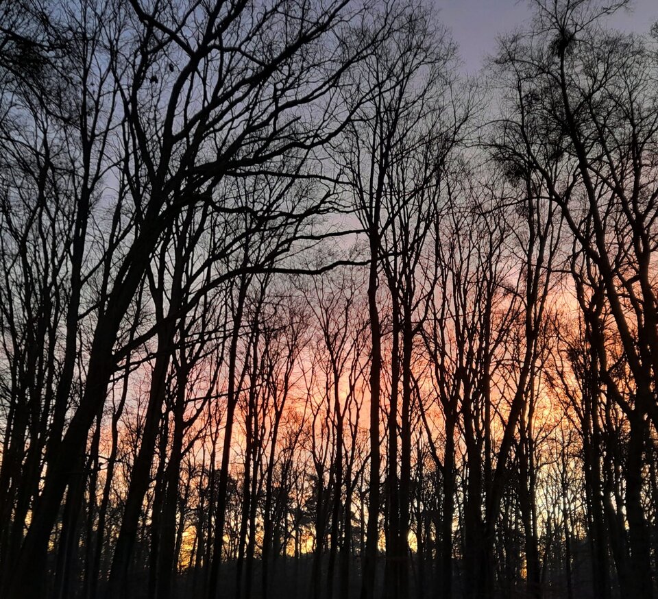 123443333333333.jpg - LewePlucoSmoka