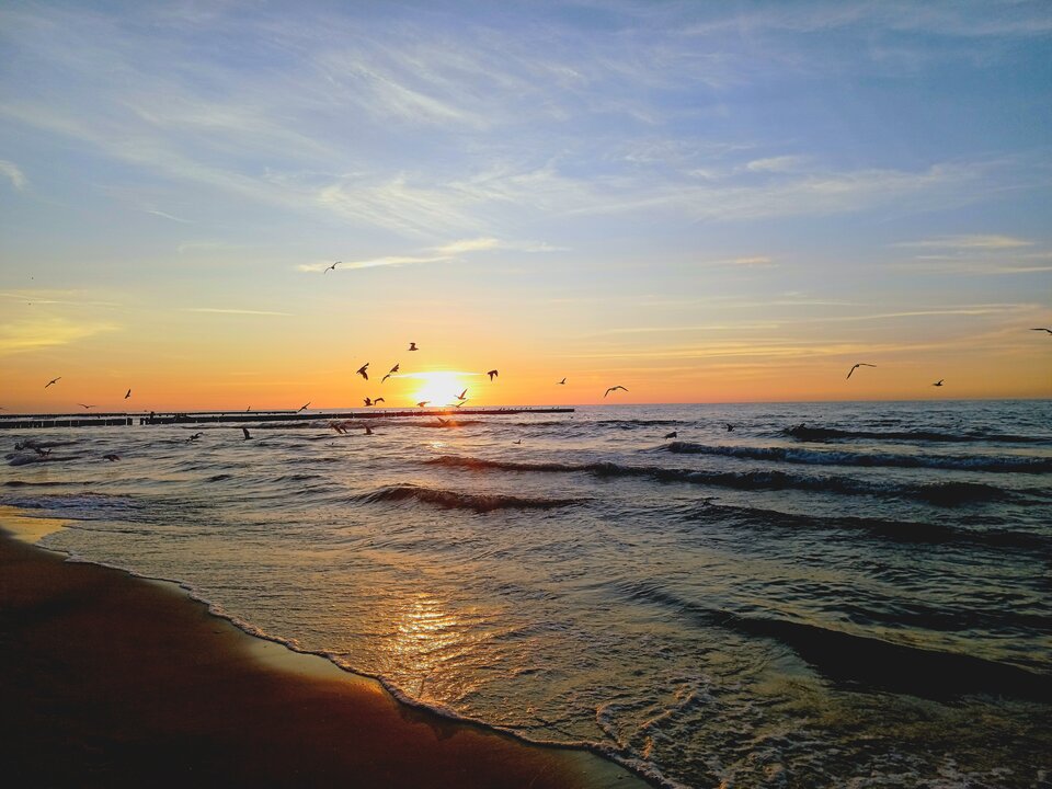 1000003875.jpg - Skorpion750