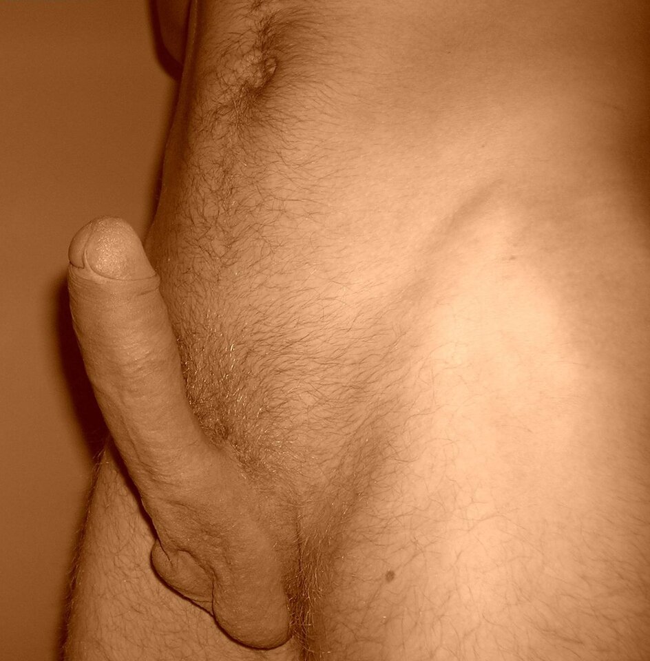 119950086.jpg - pythonko