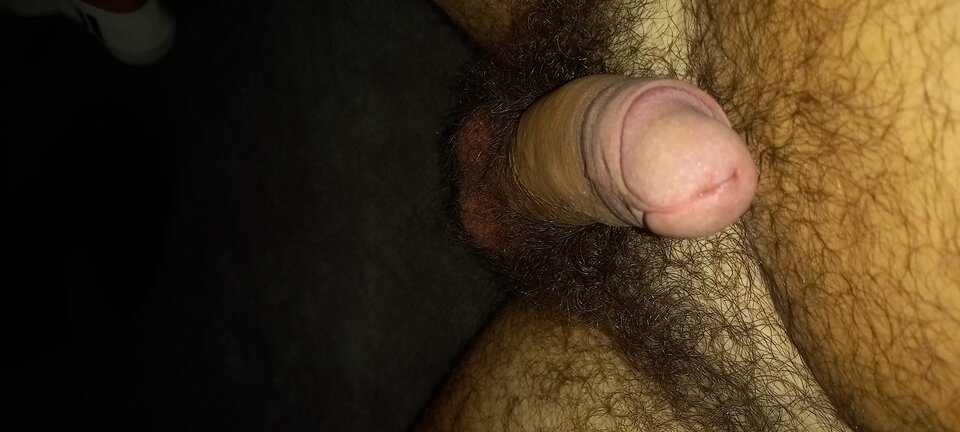 20230814_214835.jpg - Nadzwyczajzwyczajny