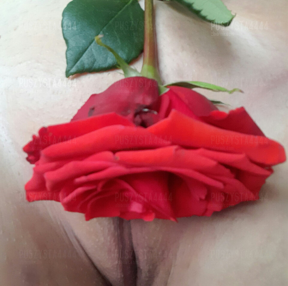 Rózyczka - Puszysta4444