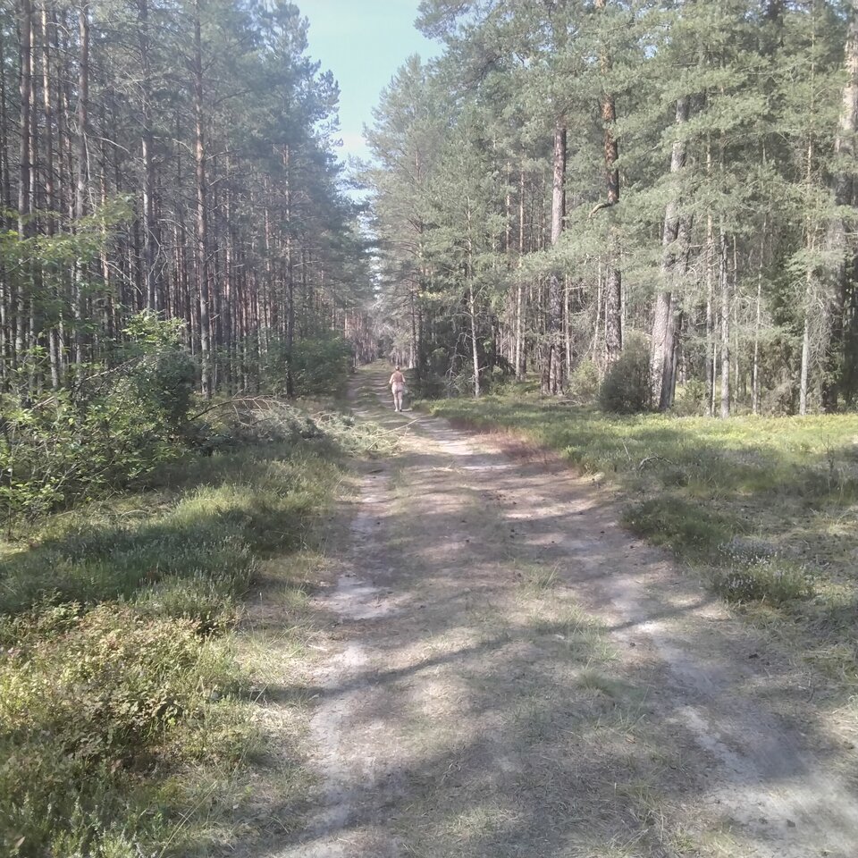 IMG_20230817_144836.jpg - skiperzy