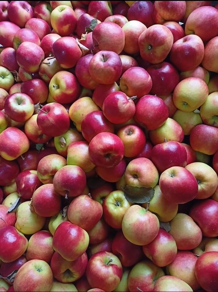 Screenshot_20230517-124558_Facebook.jpg - Nicci