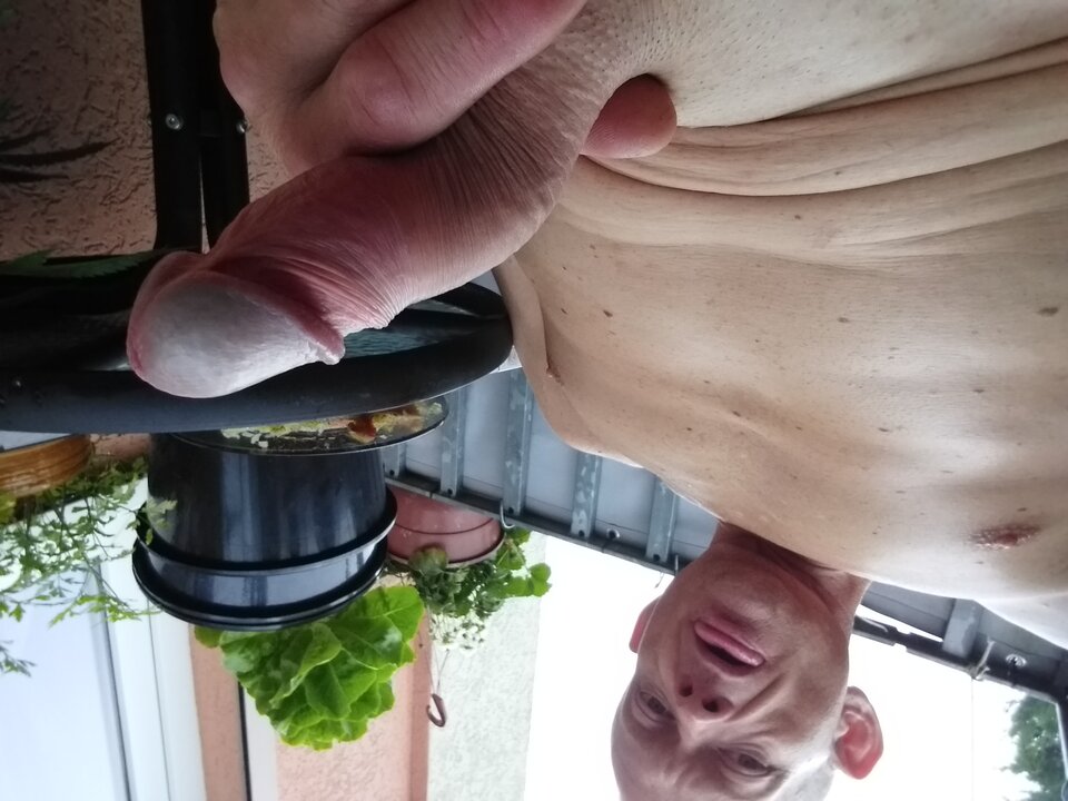 16923366538902954822591782427677.jpg - Minetkaluki