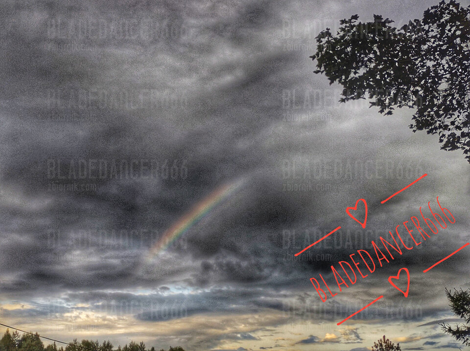 IMG_20230730_185939637-01-01.jpeg - Bladedancer666