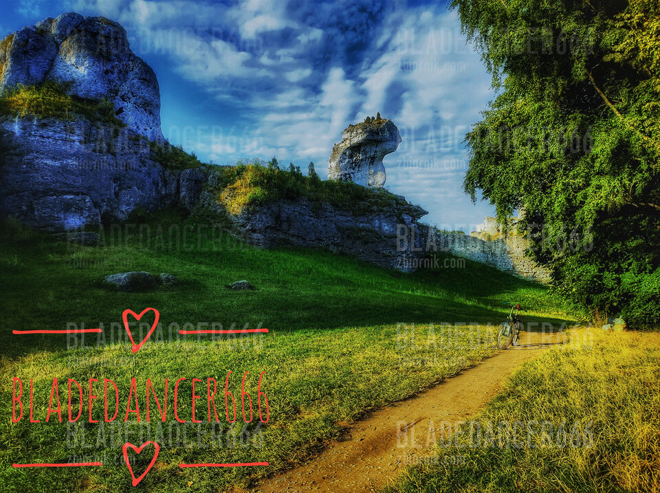 IMG_20230816_071804690_HDR-01.jpeg - Bladedancer666