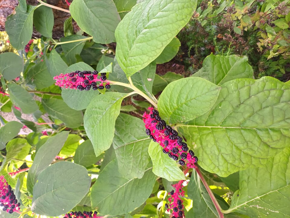 20230817_152513.jpg - Any72