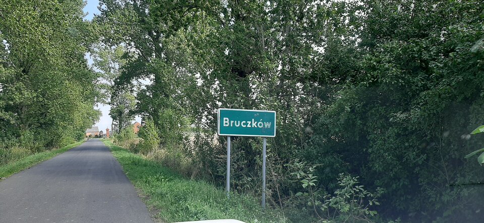 16923519536544907226477546014347.jpg - Mich1977