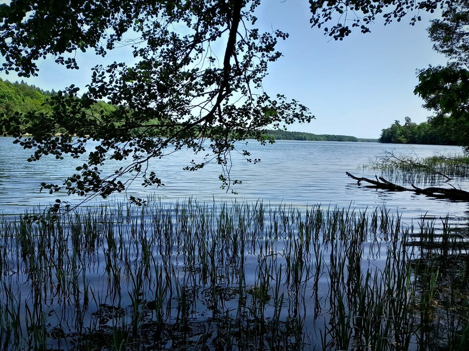 trip.jpg - LewePlucoSmoka