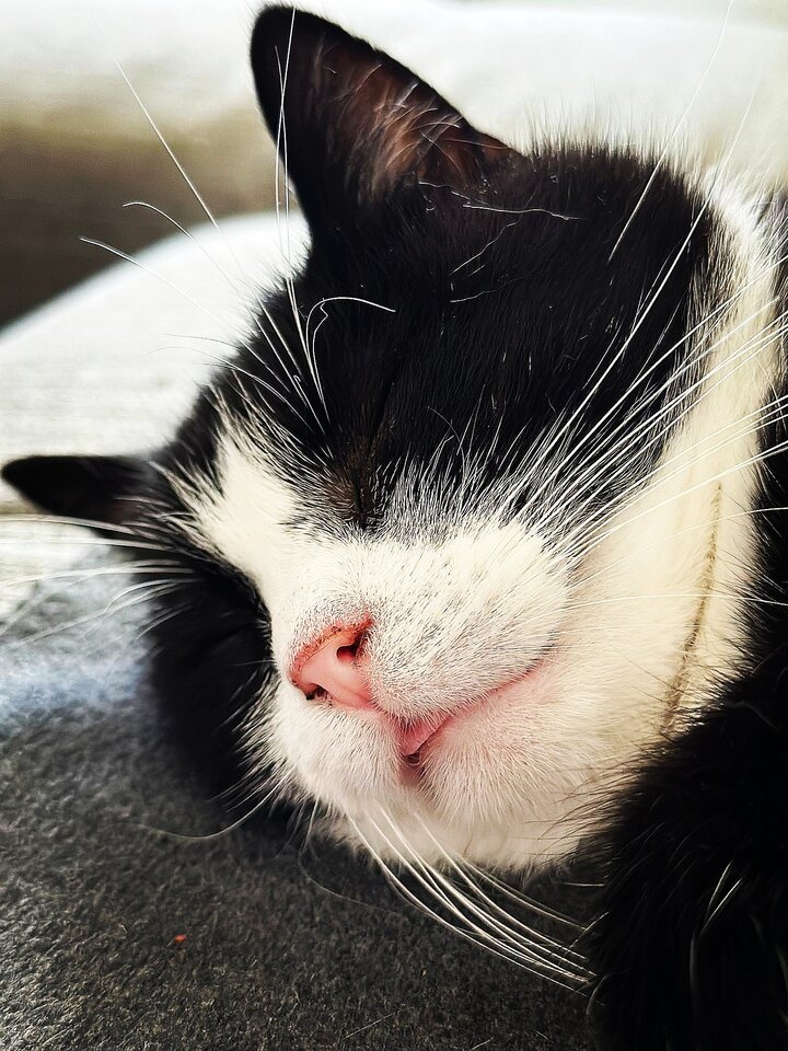 IMG-20230818-WA0002_edit_926654219912027.jpg - Hedonist11