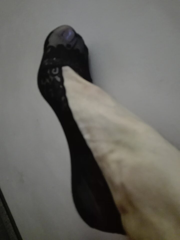 IMG_20230818_131426.jpg - Gretatv