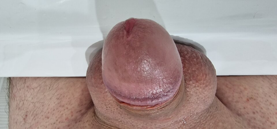 16923692265414721240137947305241.jpg - robin266