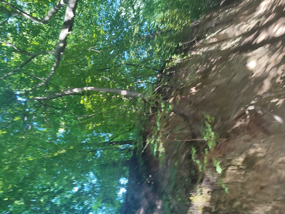 IMG_20230815_153126.jpg - Adiiii27