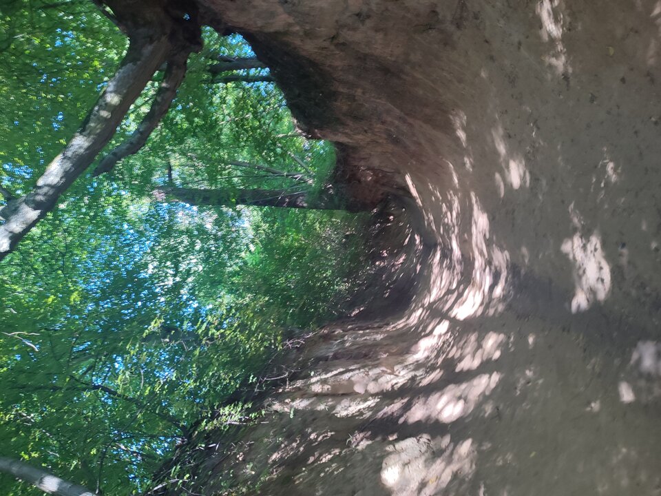 IMG_20230815_153136.jpg - Adiiii27