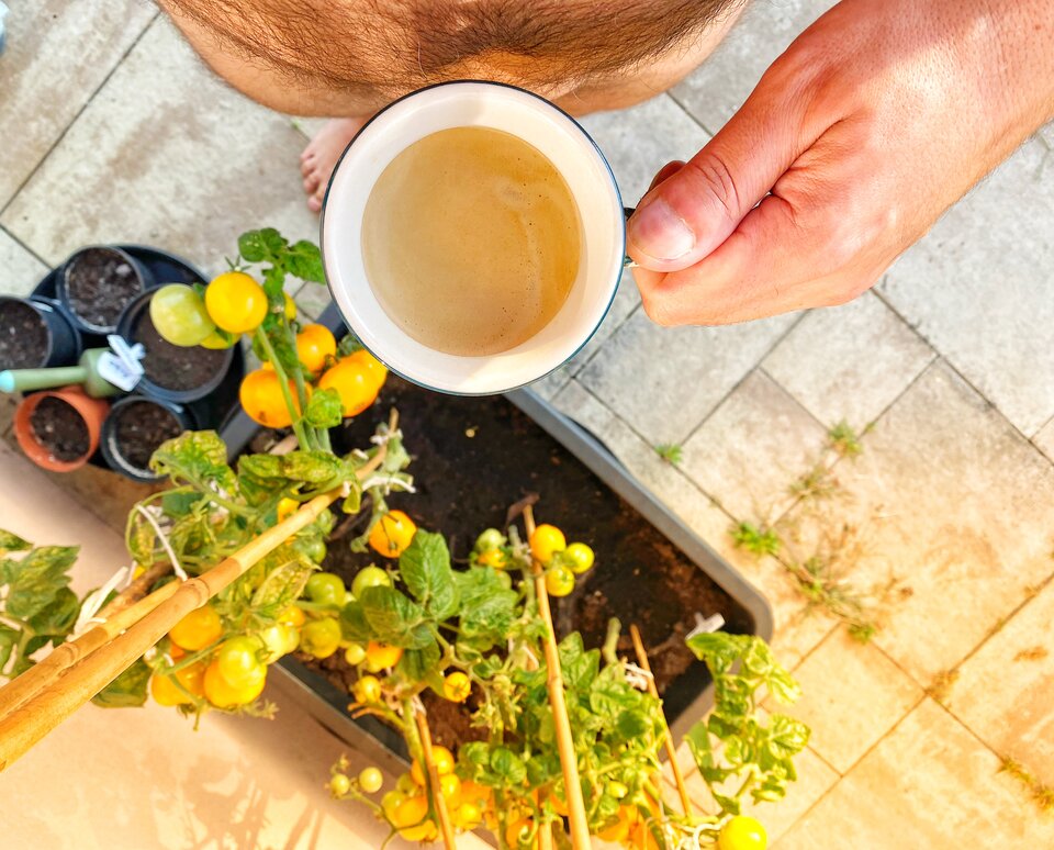 IMG_2507.jpeg - serialowapara19782