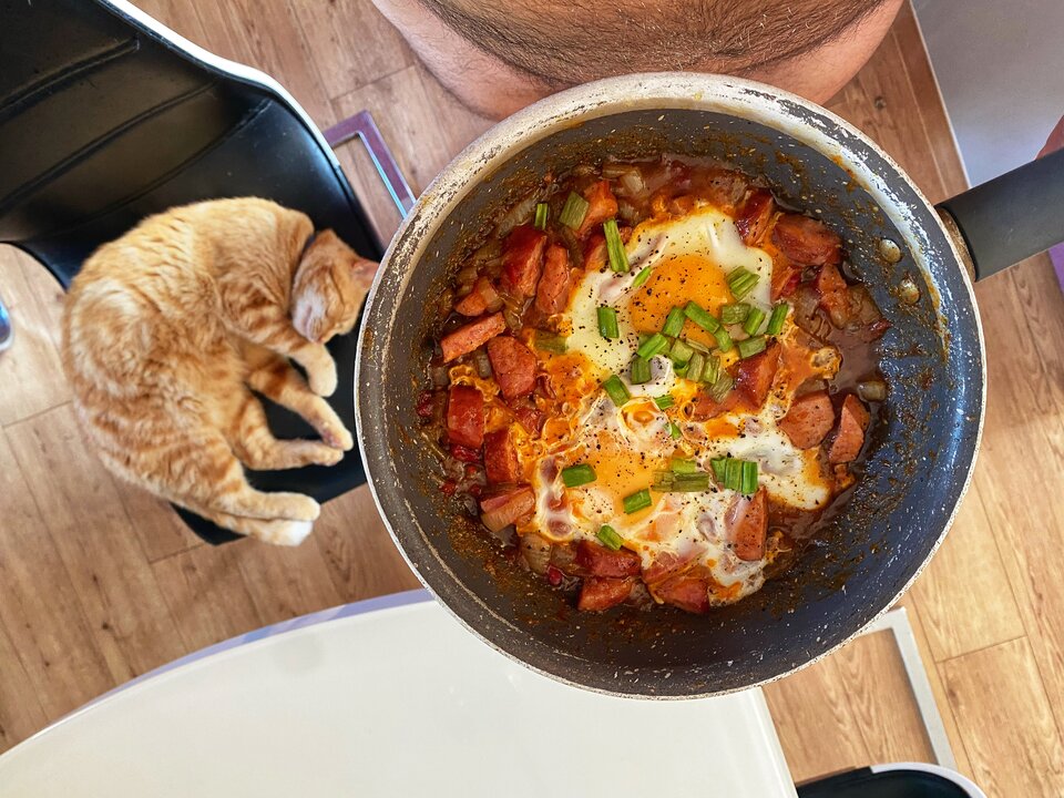 IMG_2516.jpeg - serialowapara19782