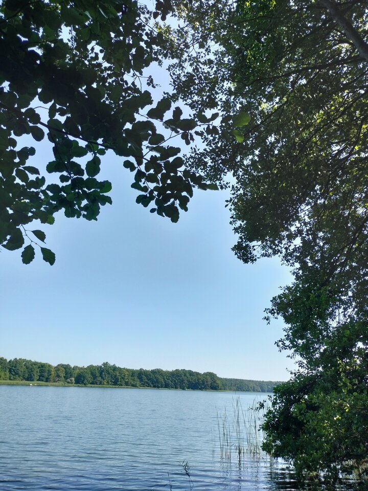 IMG20230815135005.jpg - Niunka150990