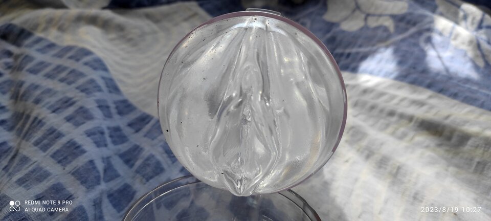 IMG_20230819_102712.jpg - JaNagoDlaCiebie