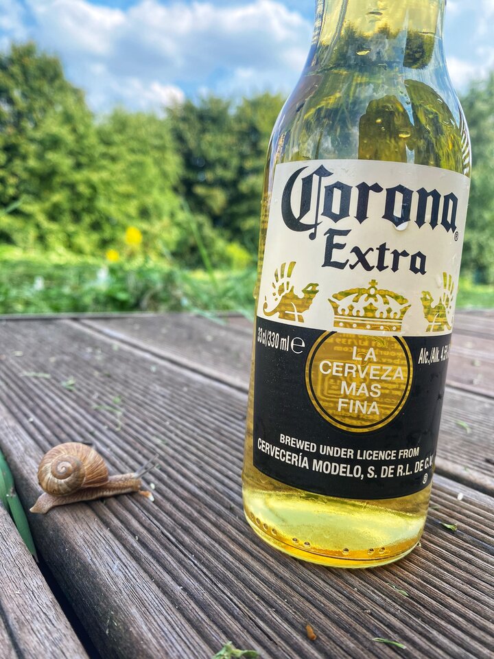 IMG_2522.jpeg - serialowapara19782