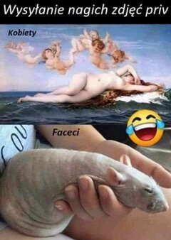FB_IMG_1692322827225.jpg