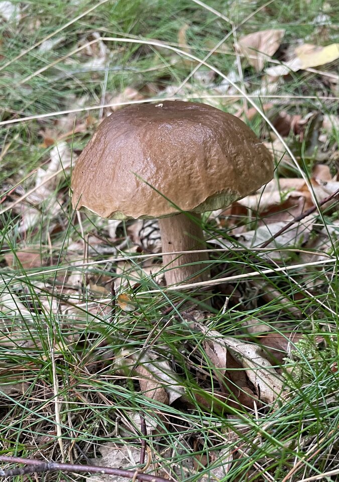 IMG_9087.jpeg - NaturystaXXX